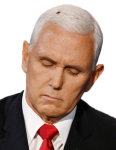 Mike Pence and fly