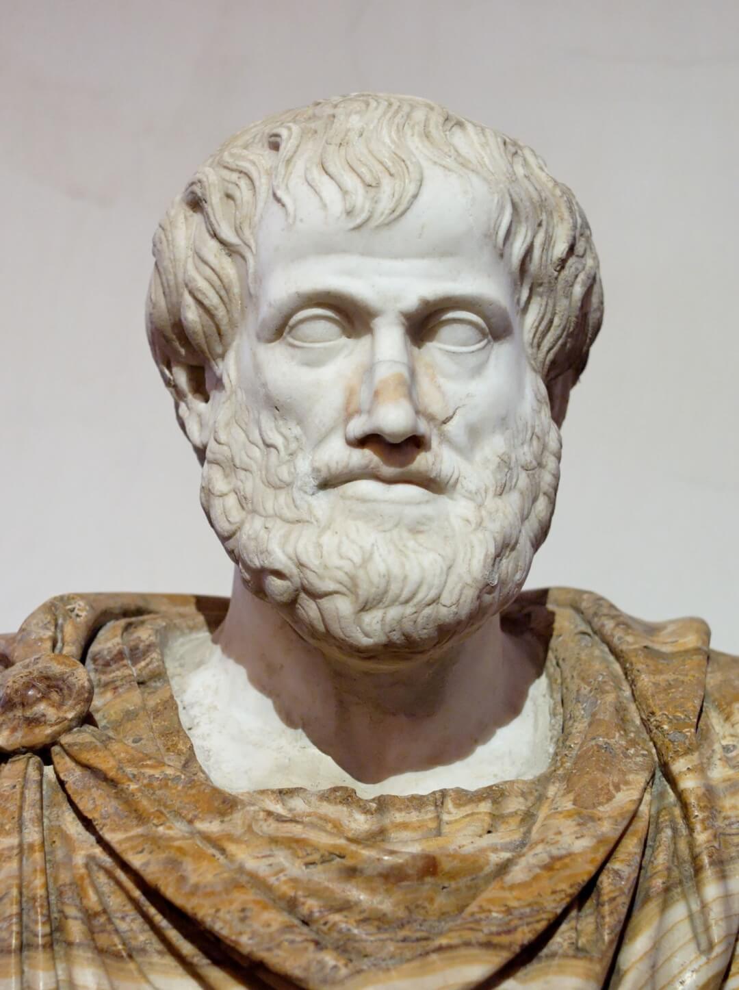 Denying Aristotle wrote about art undermines any theory of art and revolution